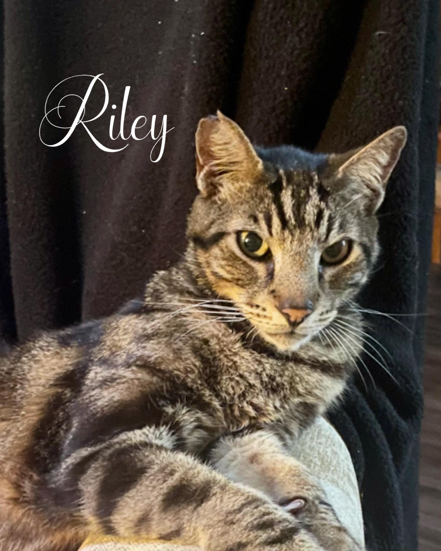 Riley photo 3