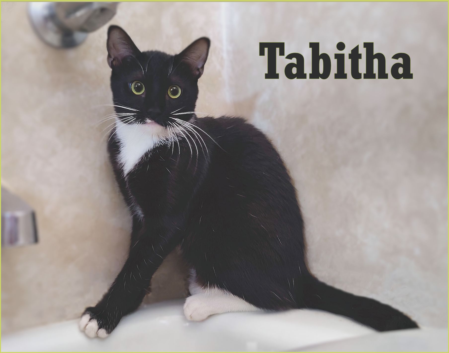 Tabitha photo 3