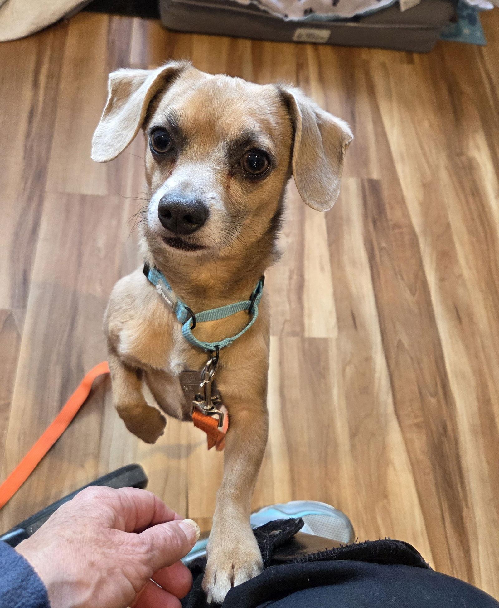 Abhi - I'll BE your man! — thumbnail 2