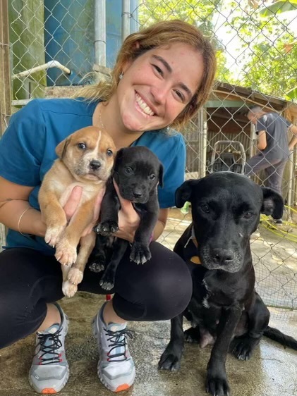 Enlarge LETTY, a Adoptable Labrador Retriever in Rincon, PR image 1/8