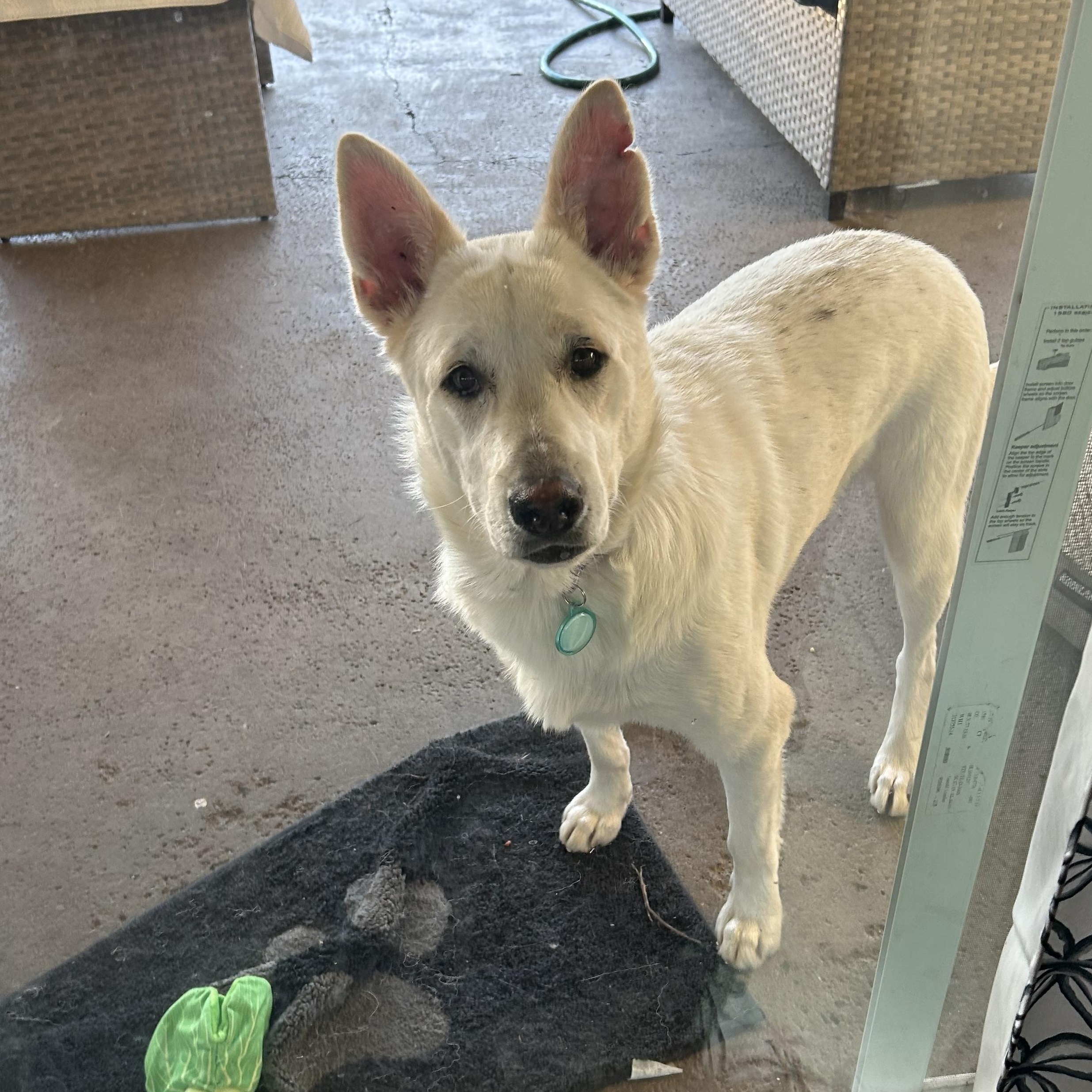 Riggs — thumbnail 3