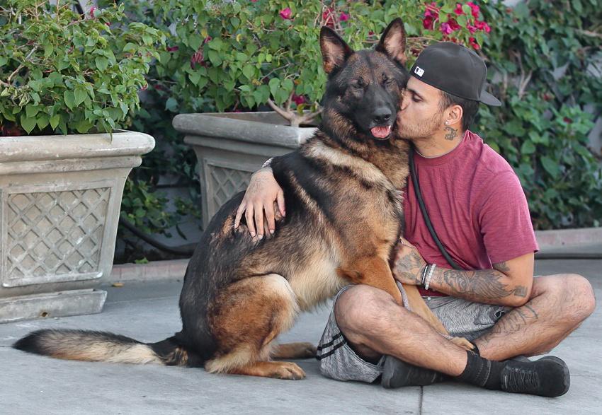 Dodger Von Darmstadt" thumbnail 3