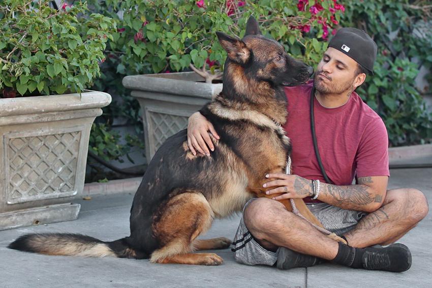 Dodger Von Darmstadt" thumbnail 4