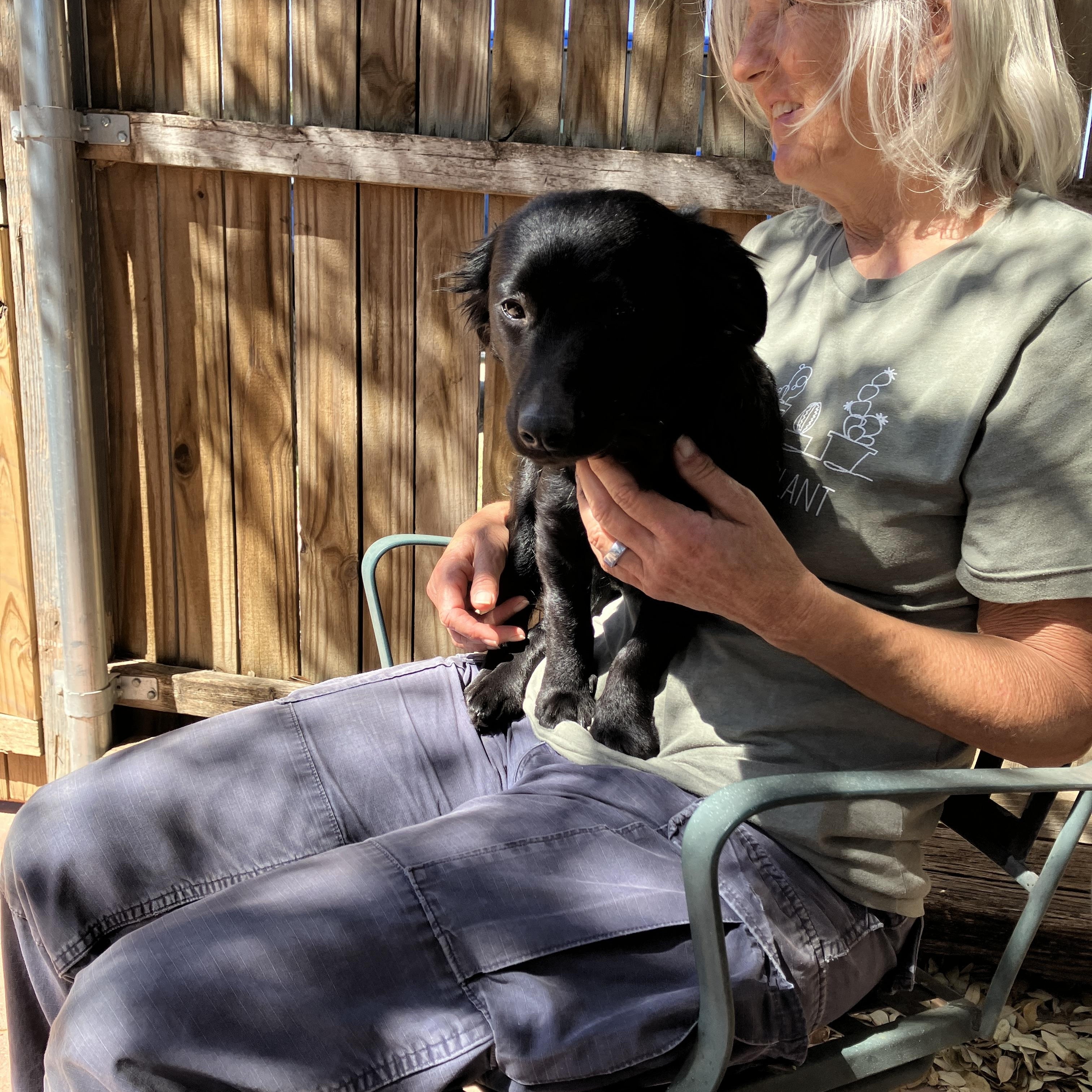 Enlarge IVY-Instant Cuddler, an adopted mixed breed in Stephenville, TX image 6/6