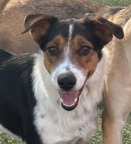 Mater — thumbnail 2