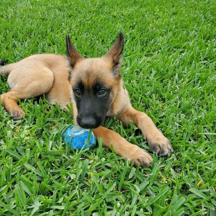 Nadia photo 1
