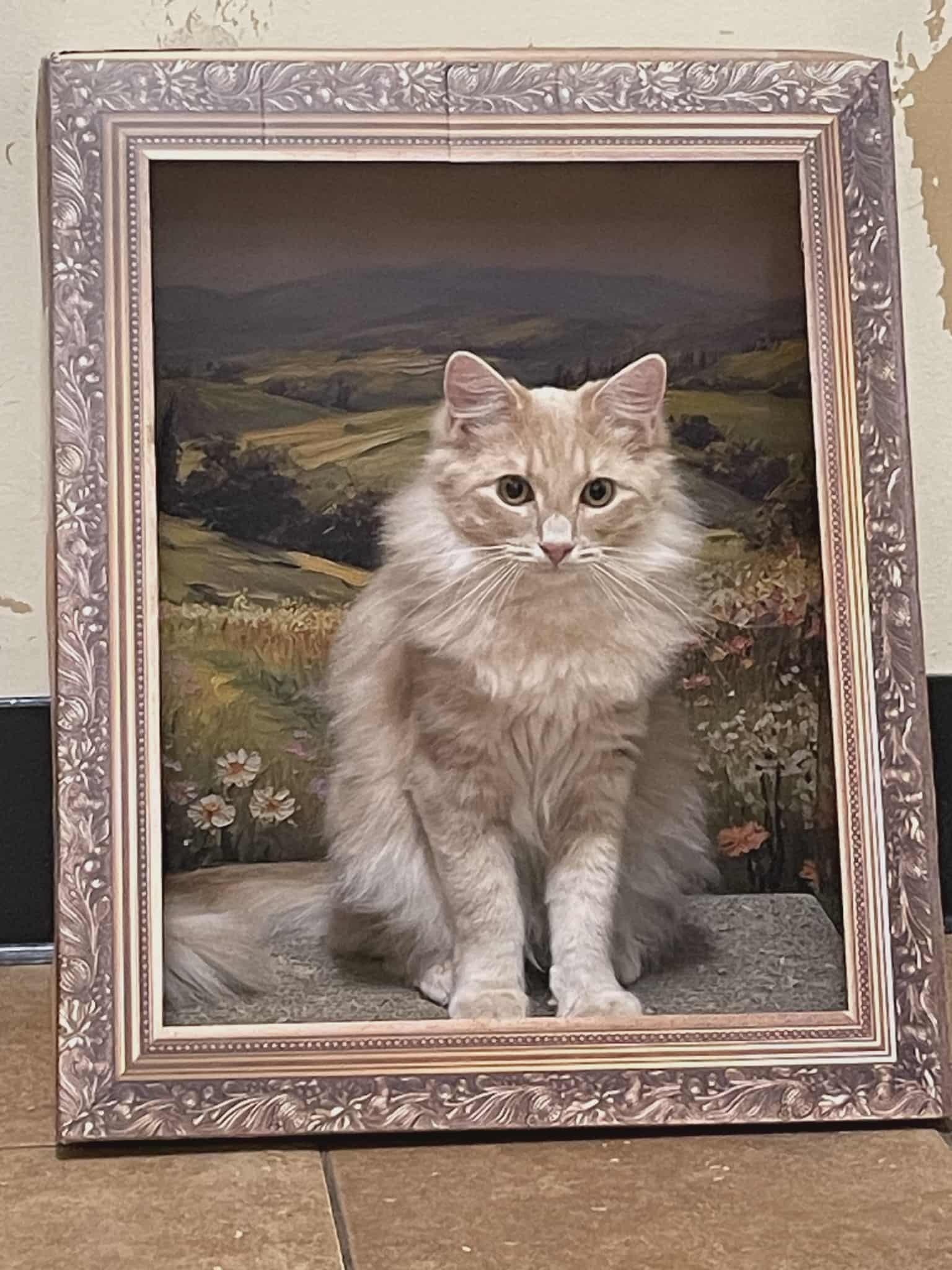 Enlarge LORD MACINTOSH, an adopted mixed breed in Murrieta, CA image 3/6