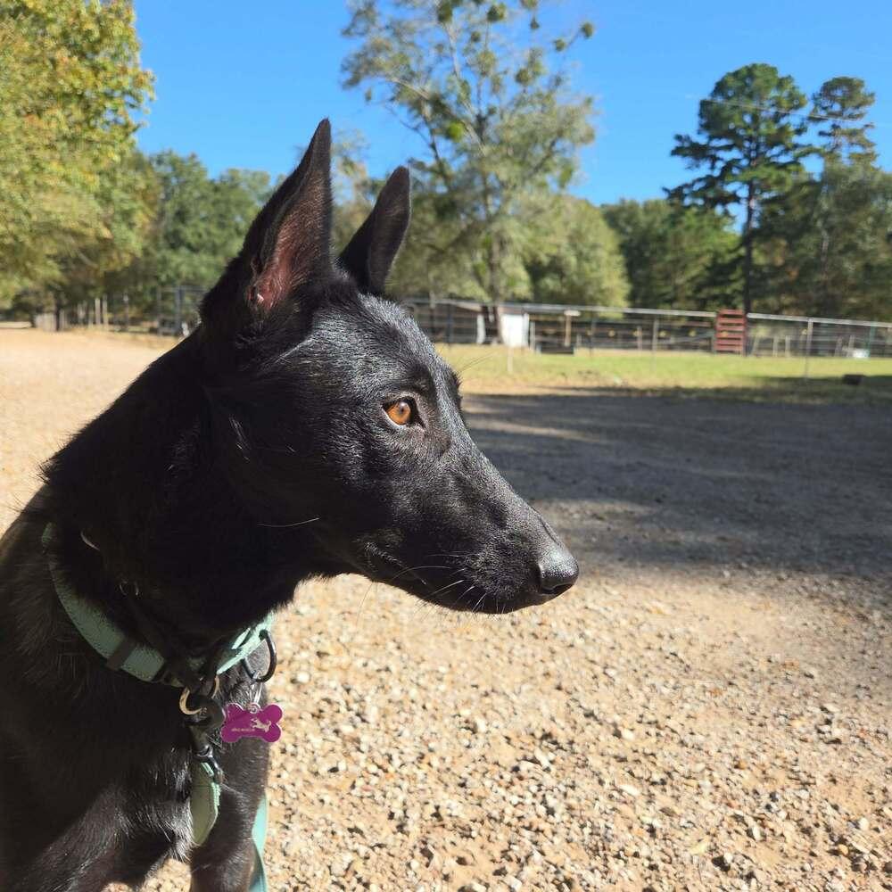 Jigi  Located In thumbnail 2