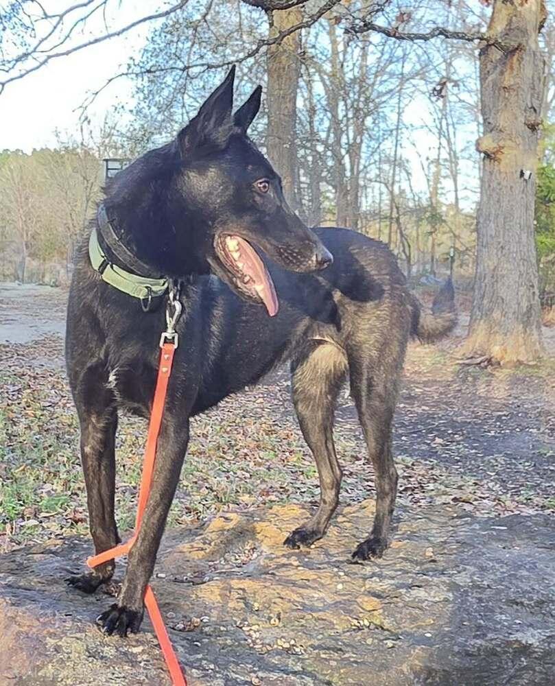 Jigi  Located In thumbnail 3