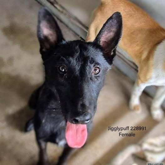 Jigi  Located In thumbnail 4