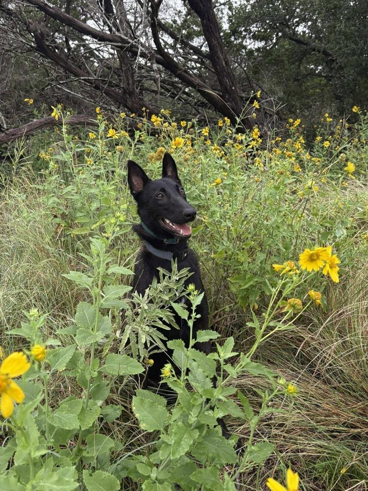 Jigi  Located In thumbnail 5