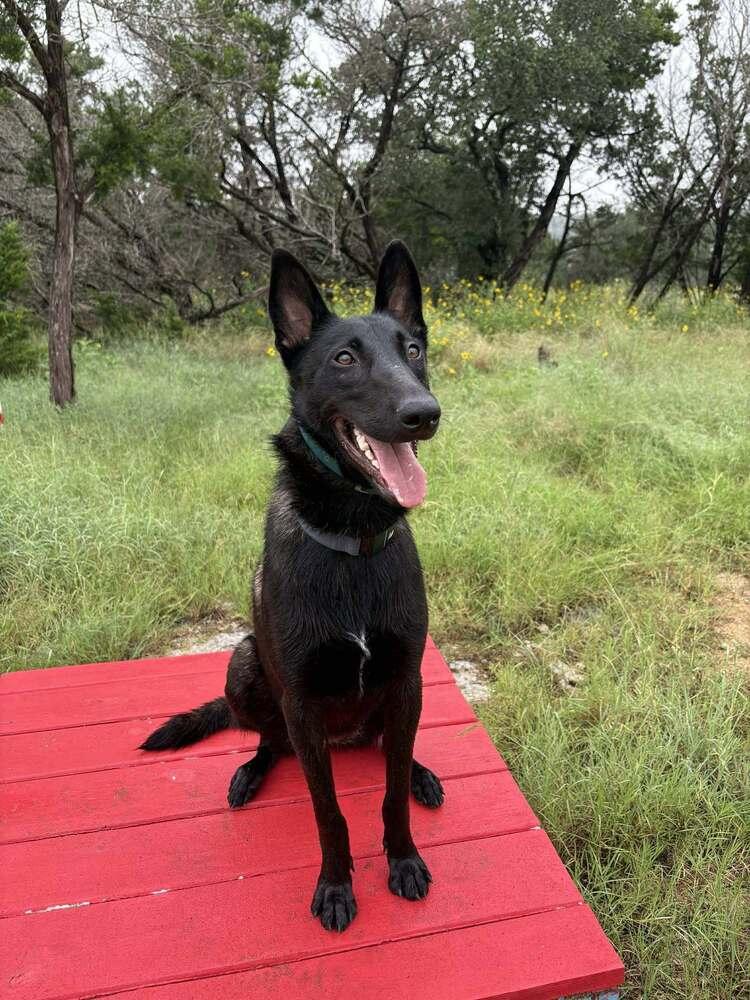 Jigi  Located In thumbnail 6