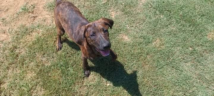 Iris — thumbnail 2