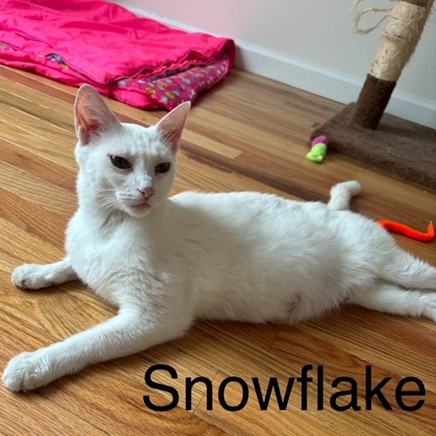 Snowflake