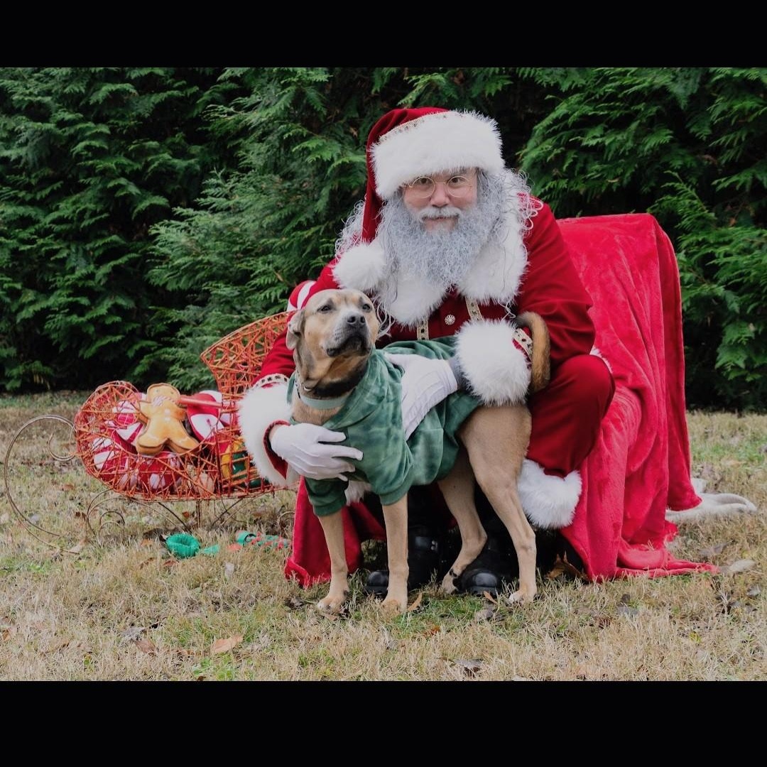 Emma — thumbnail 2