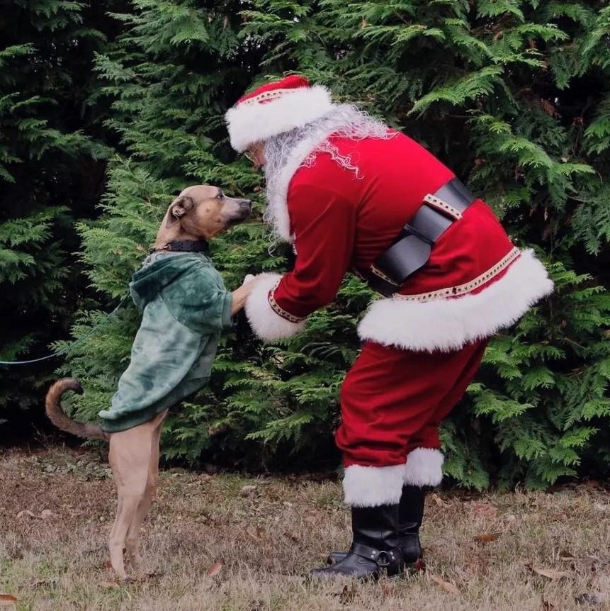 Emma — thumbnail 5