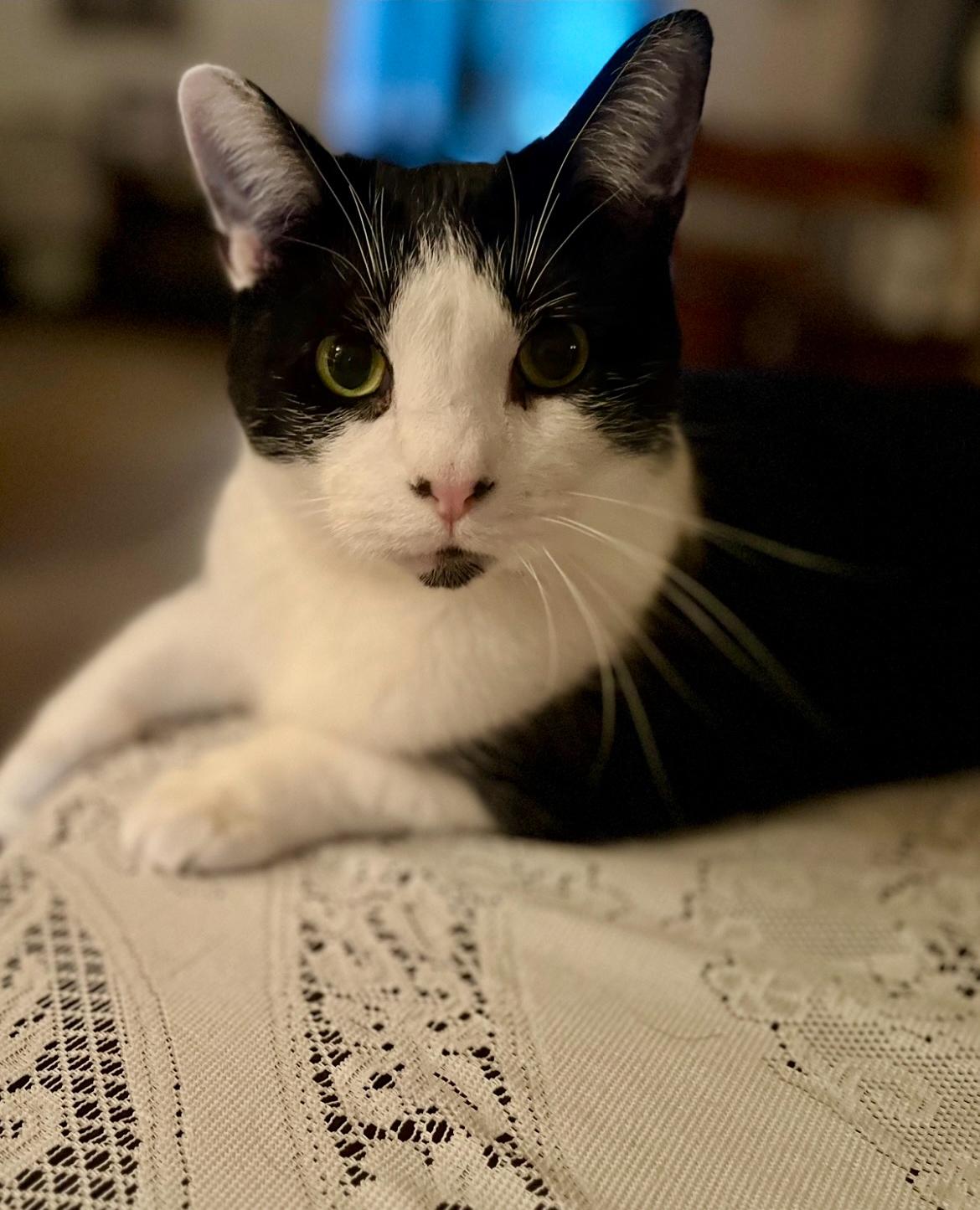 Porter