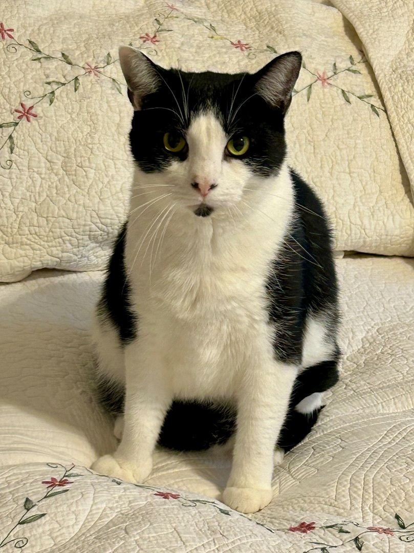 Porter