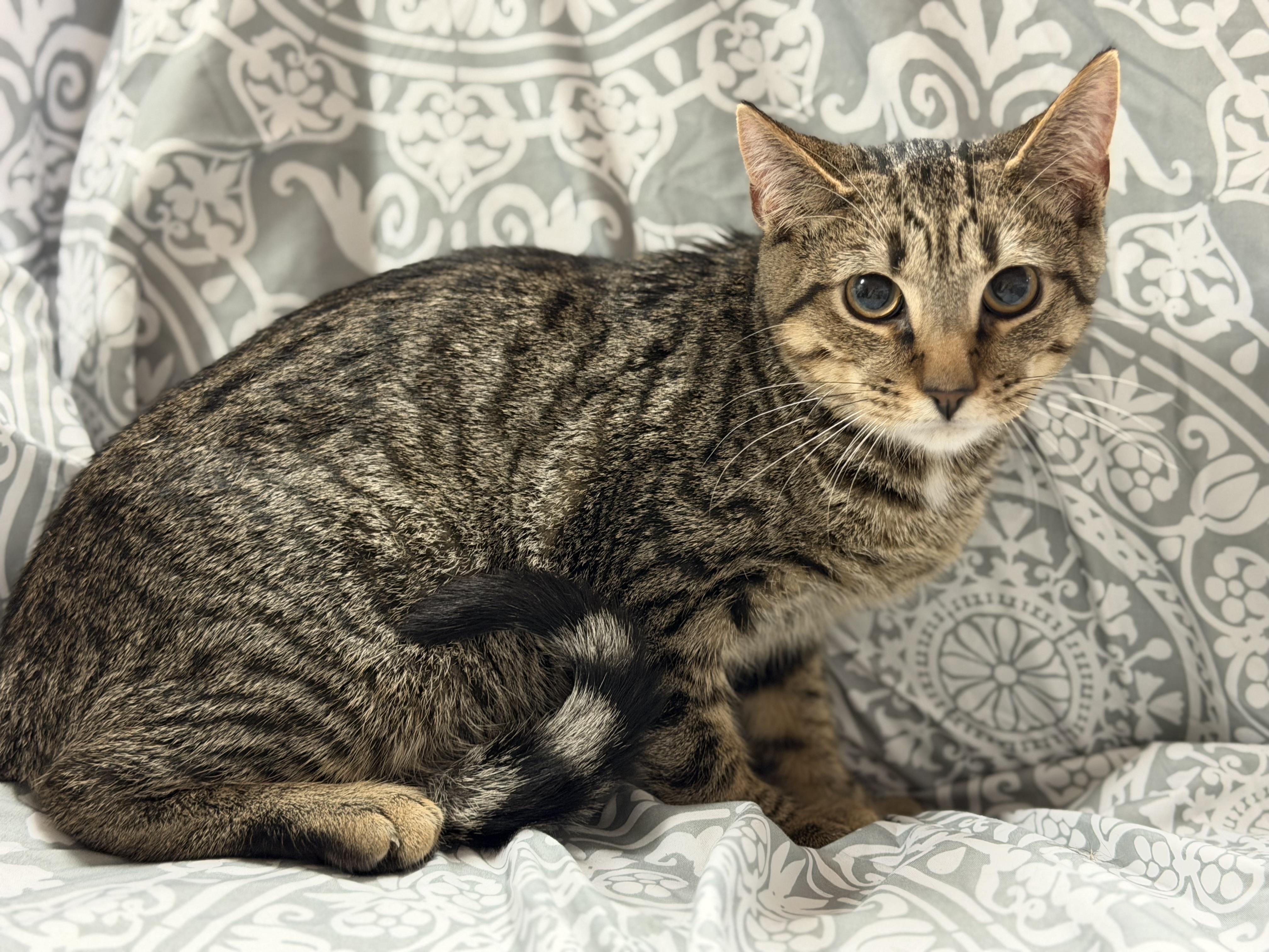 Jasper photo