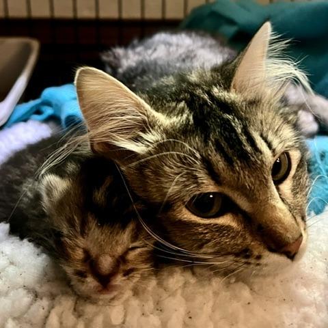 Mama Mabel photo