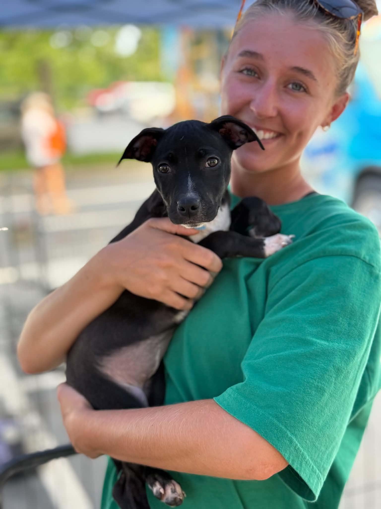 Mossie, an adopted mixed breed in Bishop, GA image 5/5