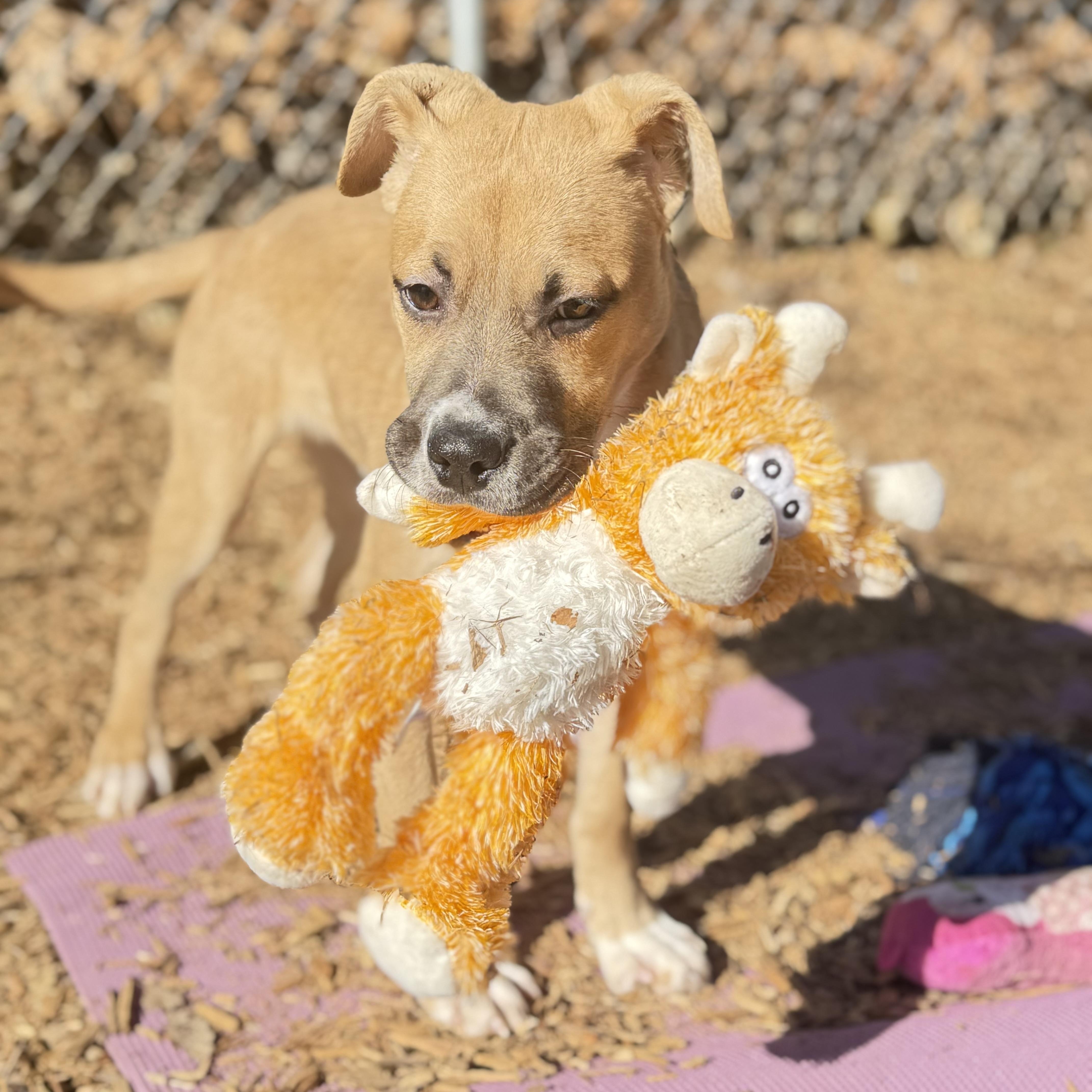 Mr. Big — thumbnail 2