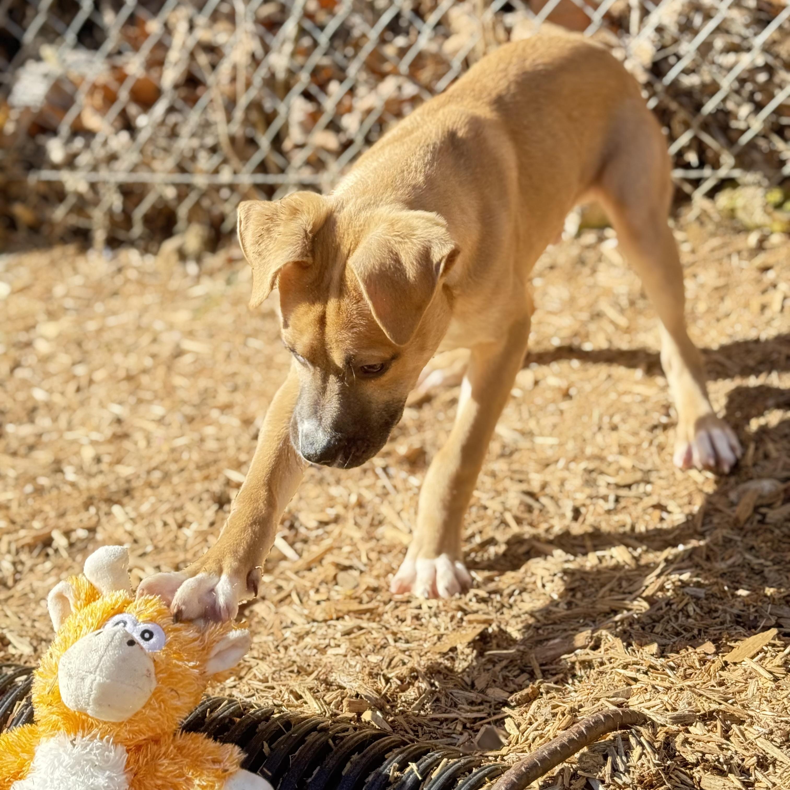 Mr. Big — thumbnail 3