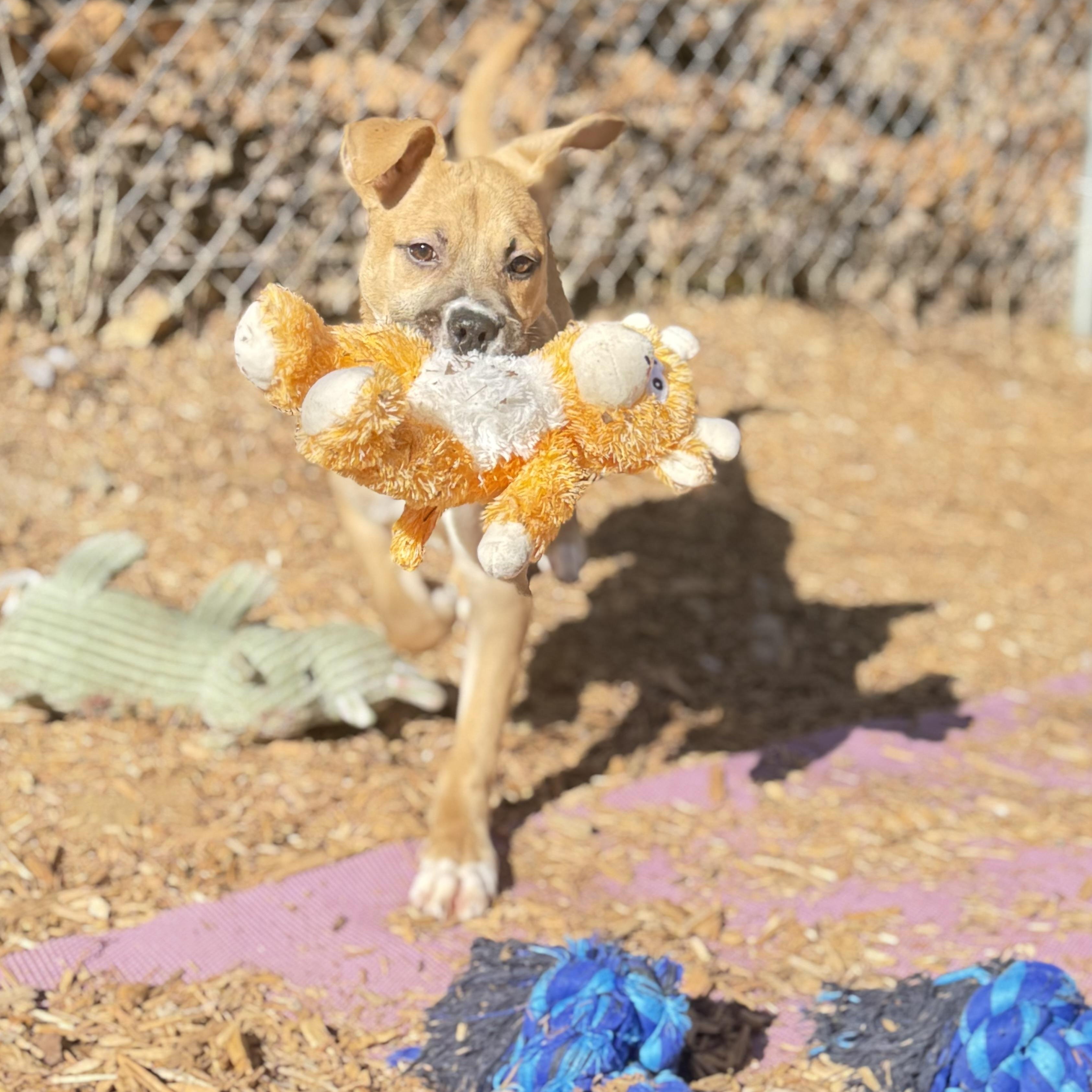 Mr. Big — thumbnail 4