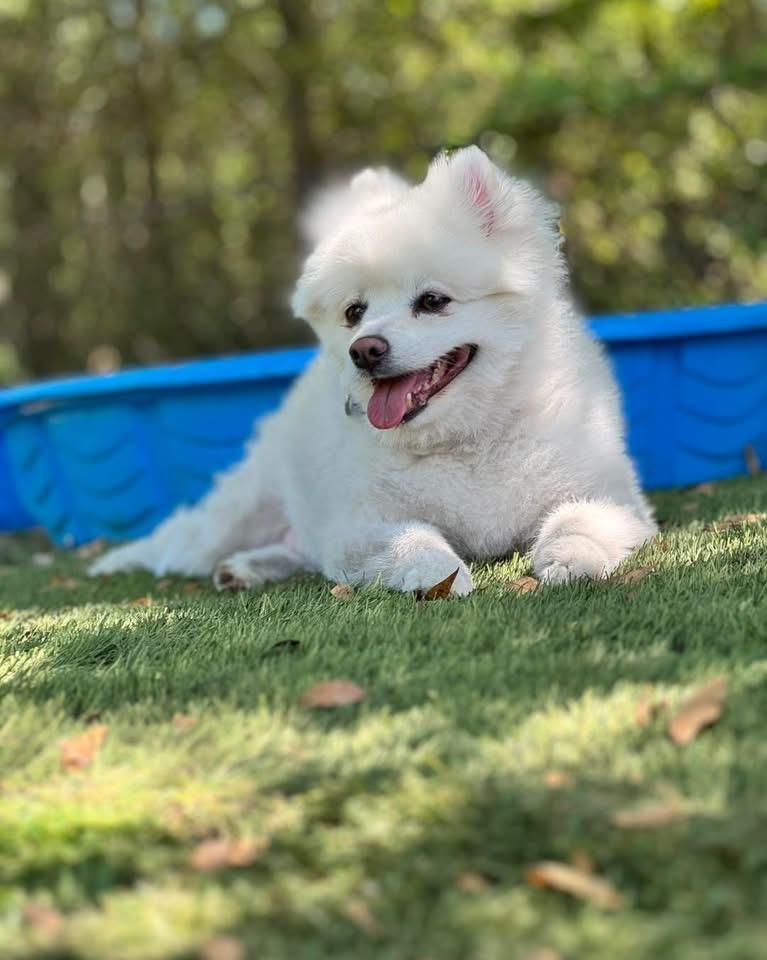 Korbel photo 3