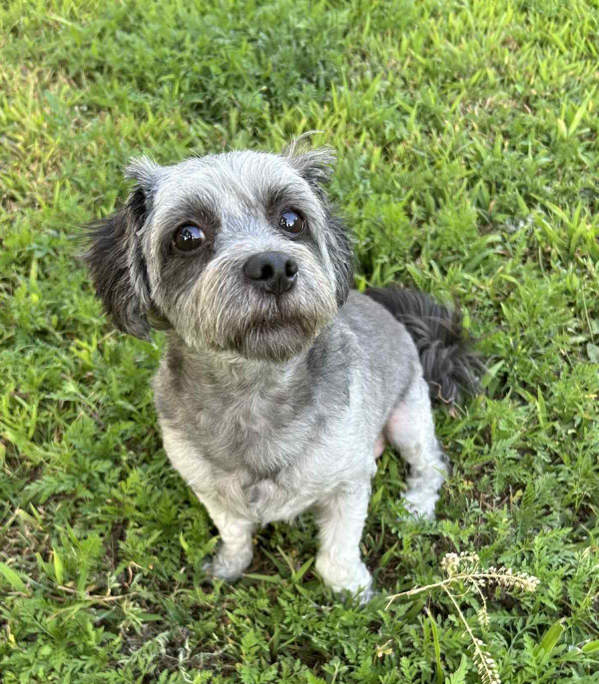 Courtesy Posting Teddy