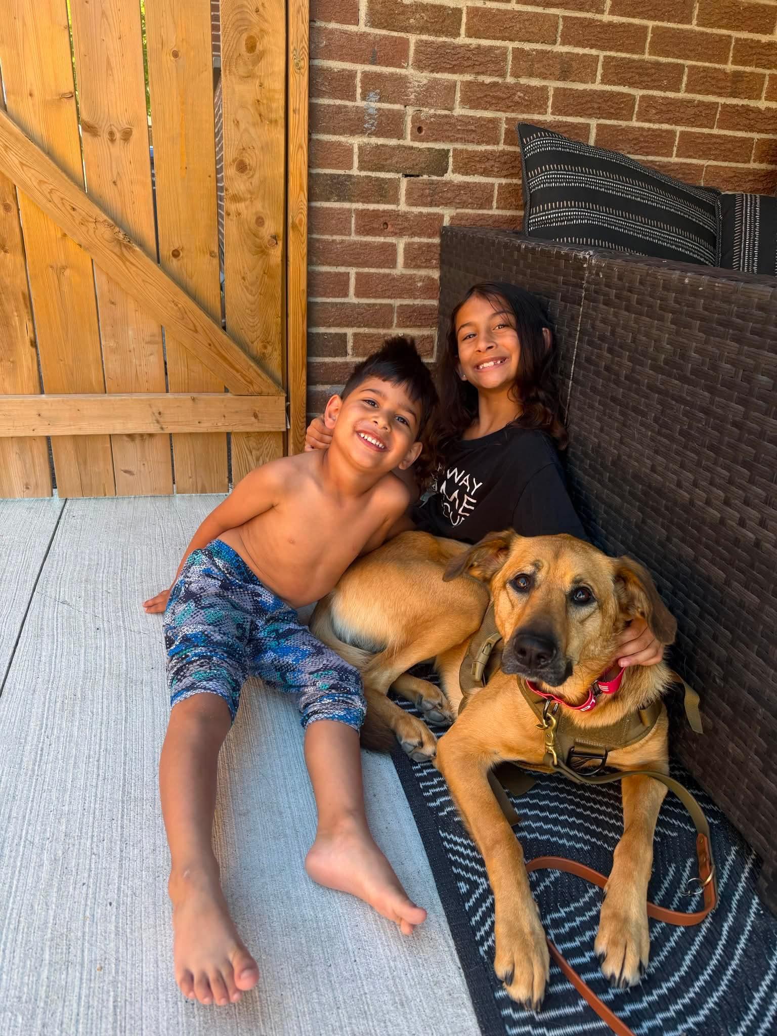 Enlarge Fawkes, a ADOPTABLE mixed breed in Hamilton, ON image 2/6