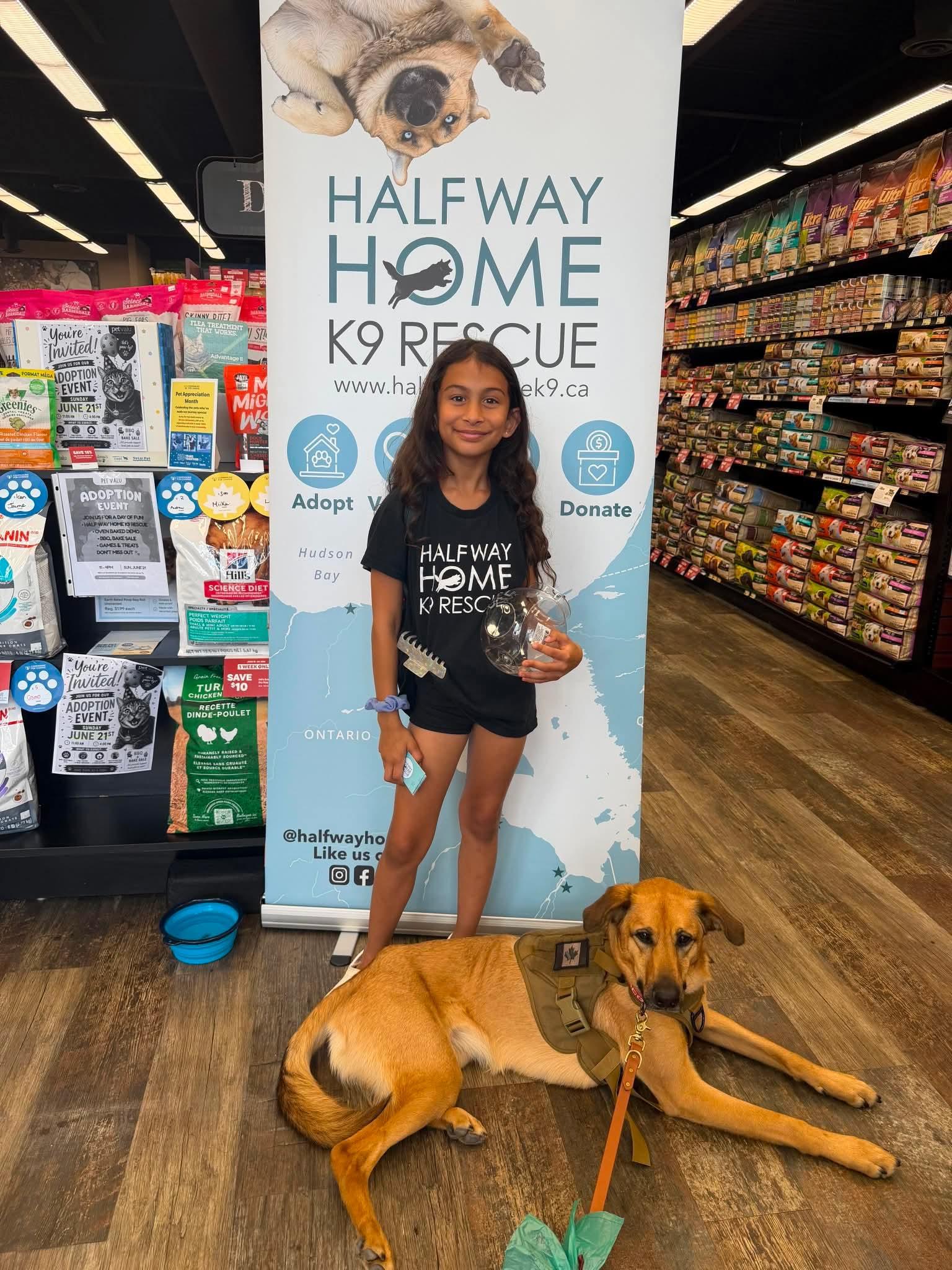 Enlarge Fawkes, a ADOPTABLE mixed breed in Hamilton, ON image 4/6