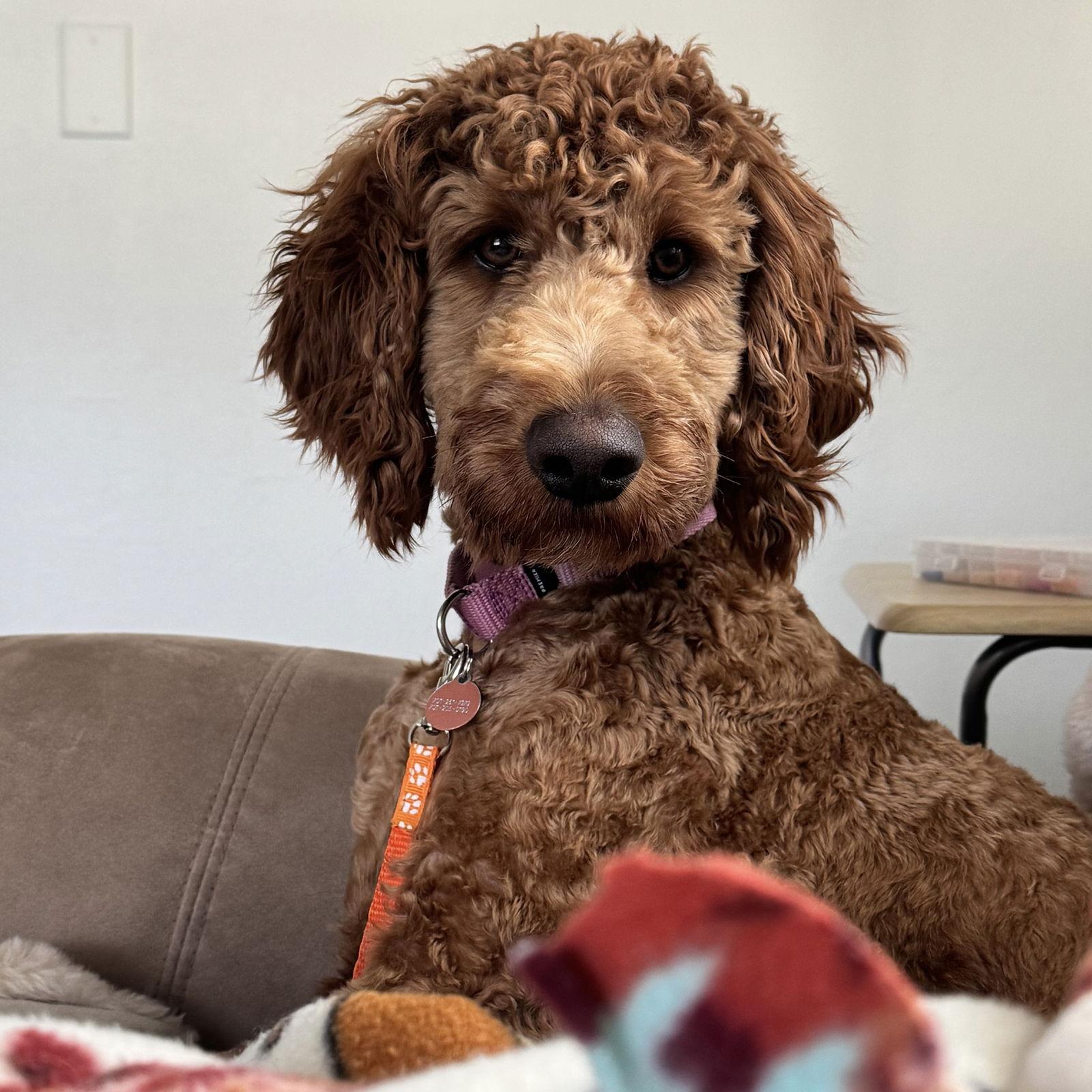 Phineas Patrick — thumbnail 3