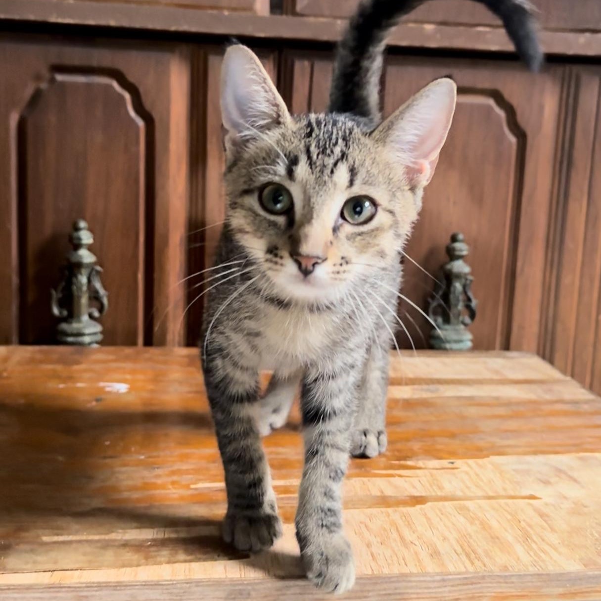 Dean — thumbnail 2