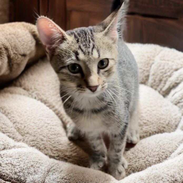 Dean — thumbnail 3