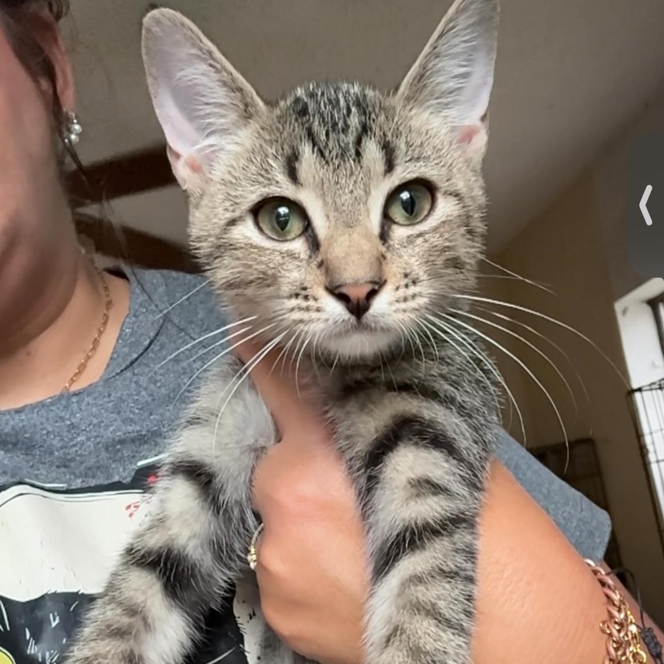 Dean — thumbnail 4