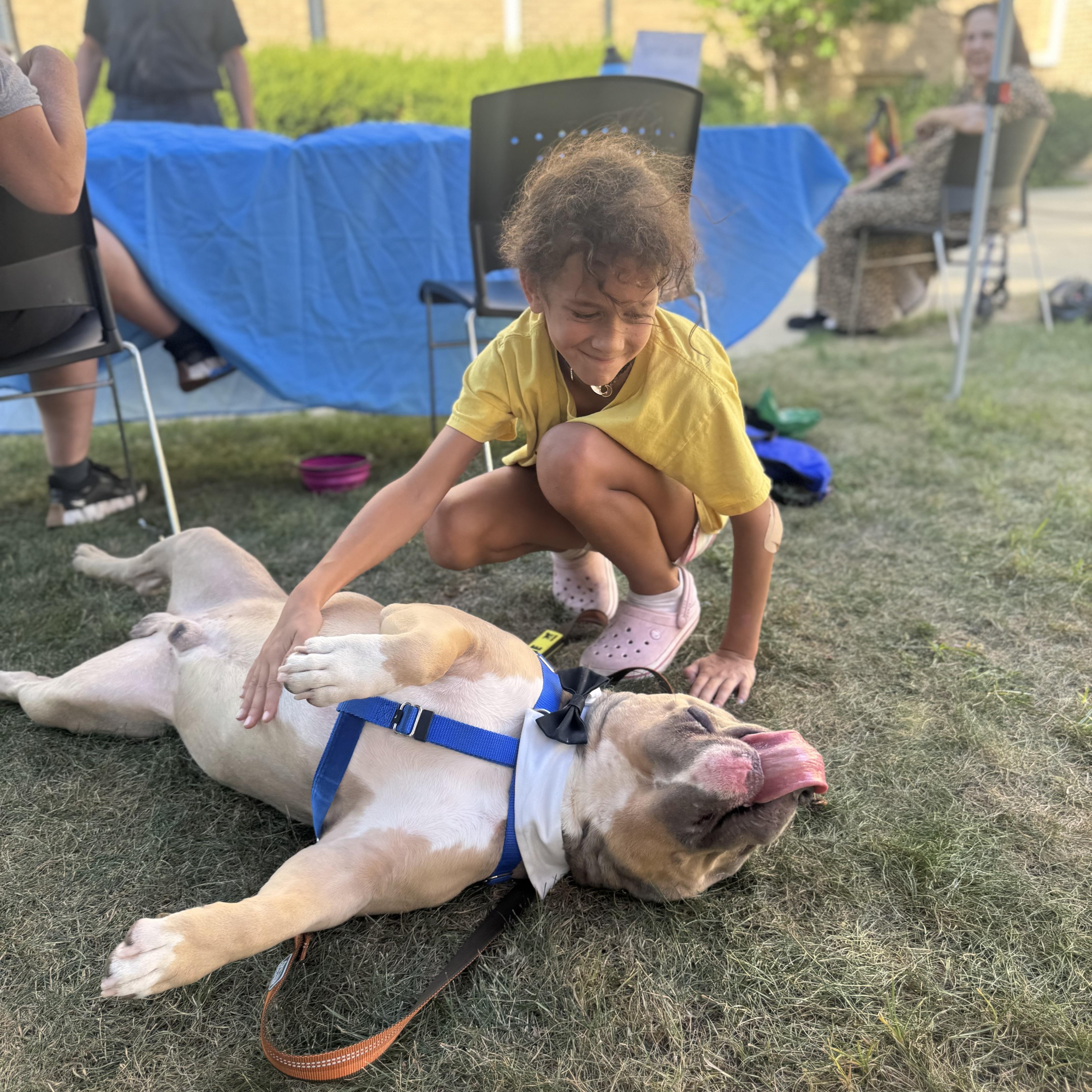 Trunks, an adoptable Pit Bull Terrier in Chicago, IL image 2/6