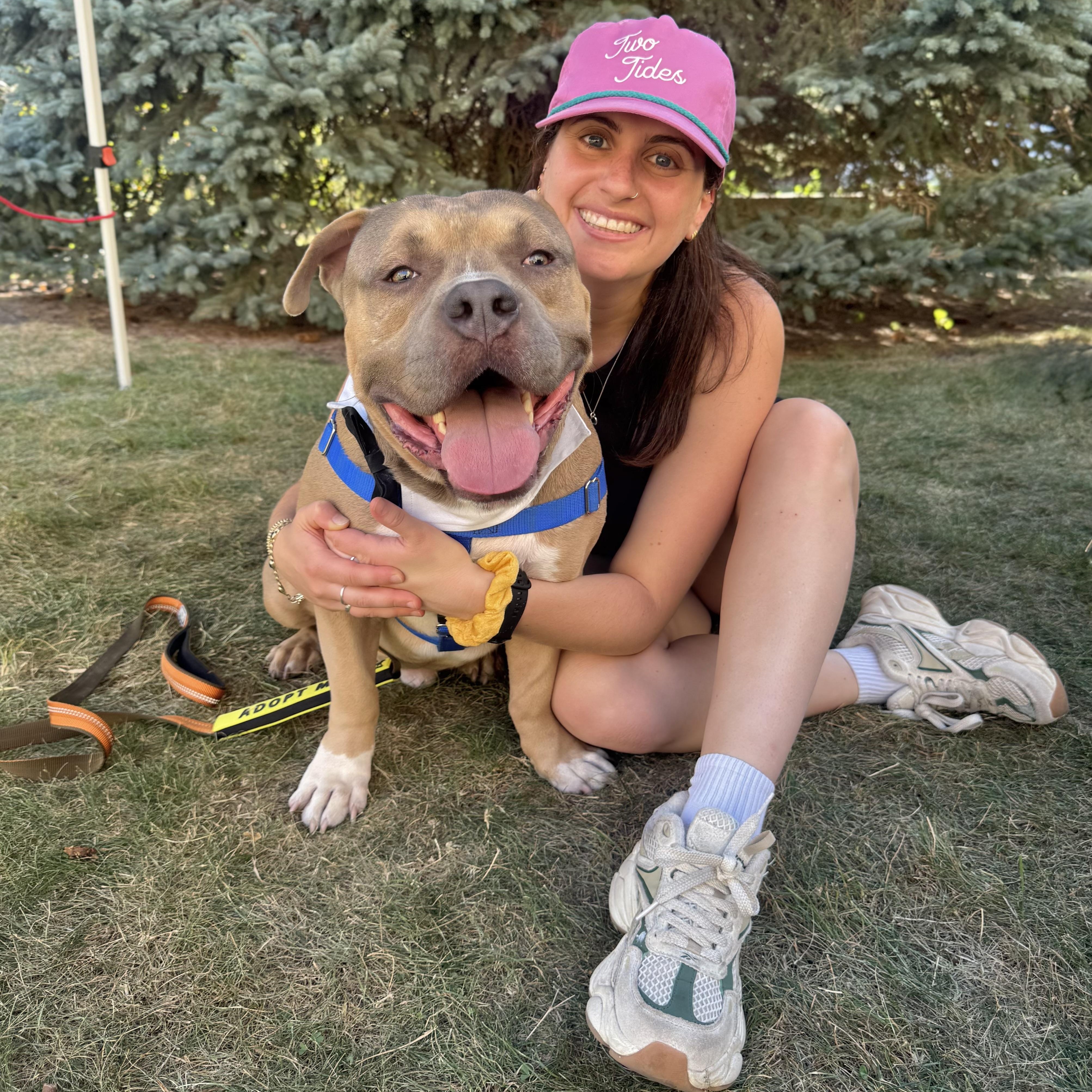 Trunks, an adoptable Pit Bull Terrier in Chicago, IL image 4/6