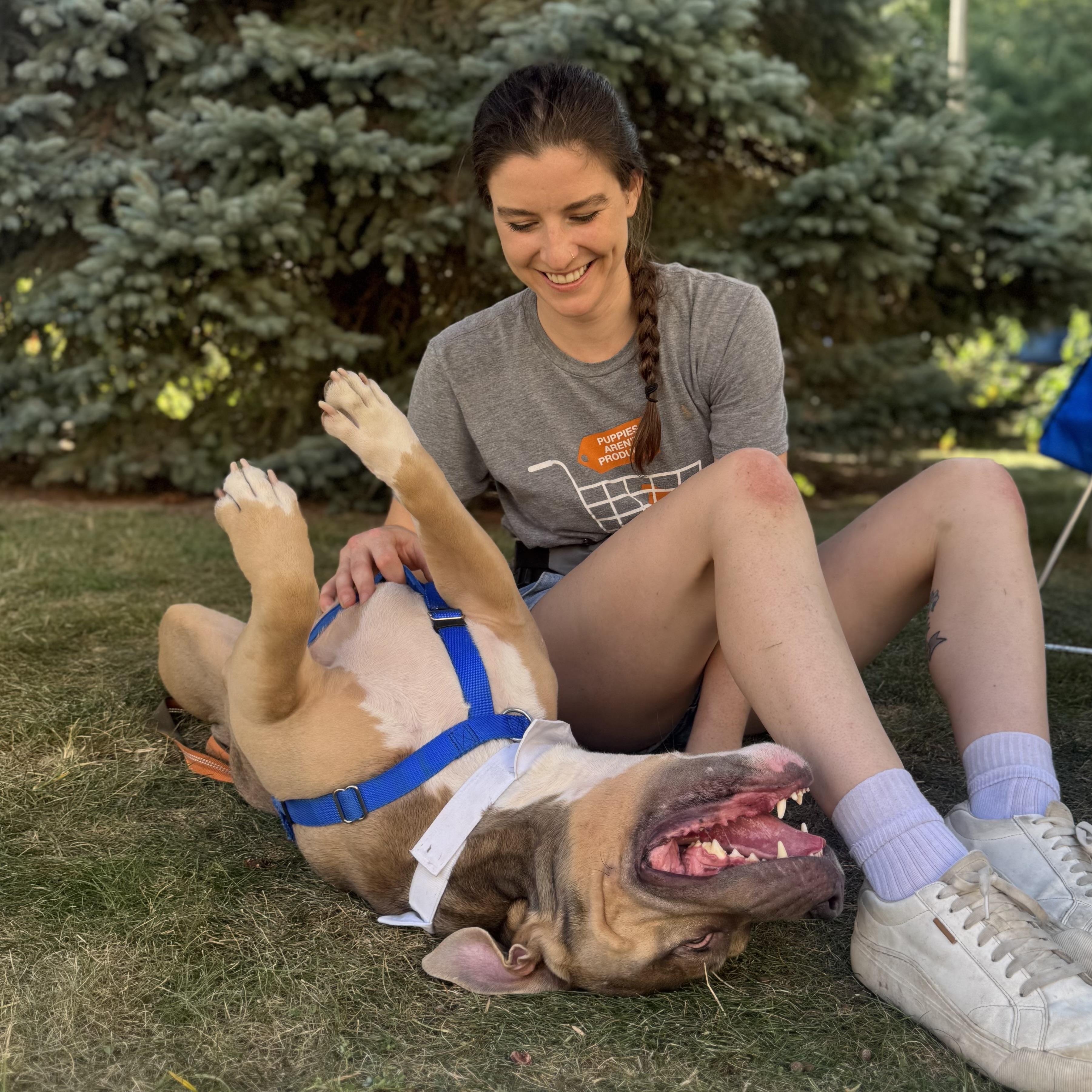 Trunks, an adoptable Pit Bull Terrier in Chicago, IL image 5/6