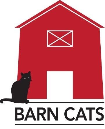 Barn Cat, Adoptable, Young Male Domestic Short Hair & Domestic Short Hair.