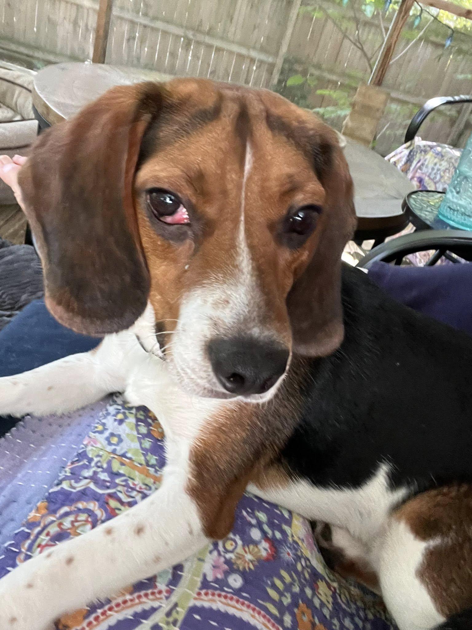Tucker