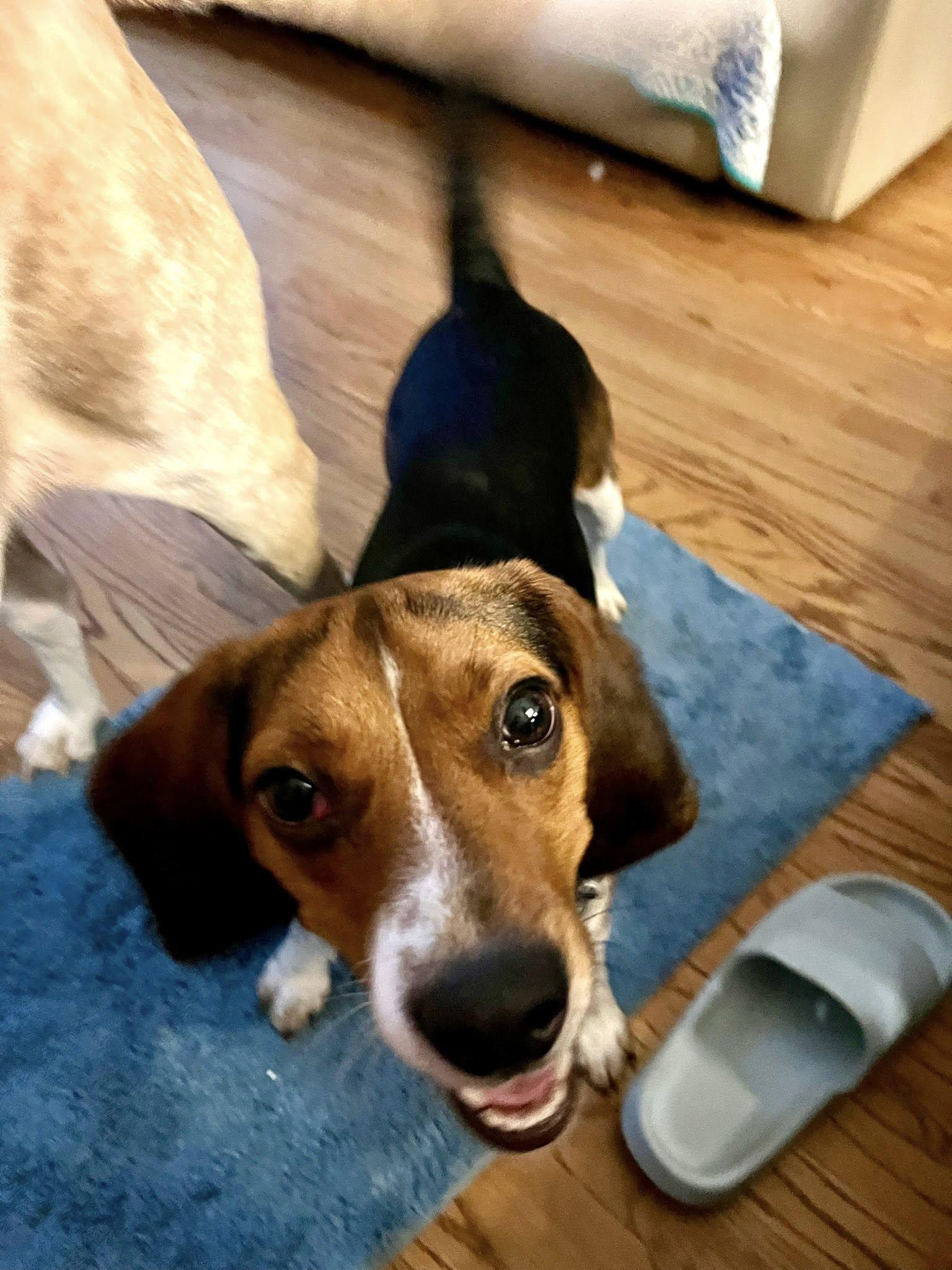 Tucker