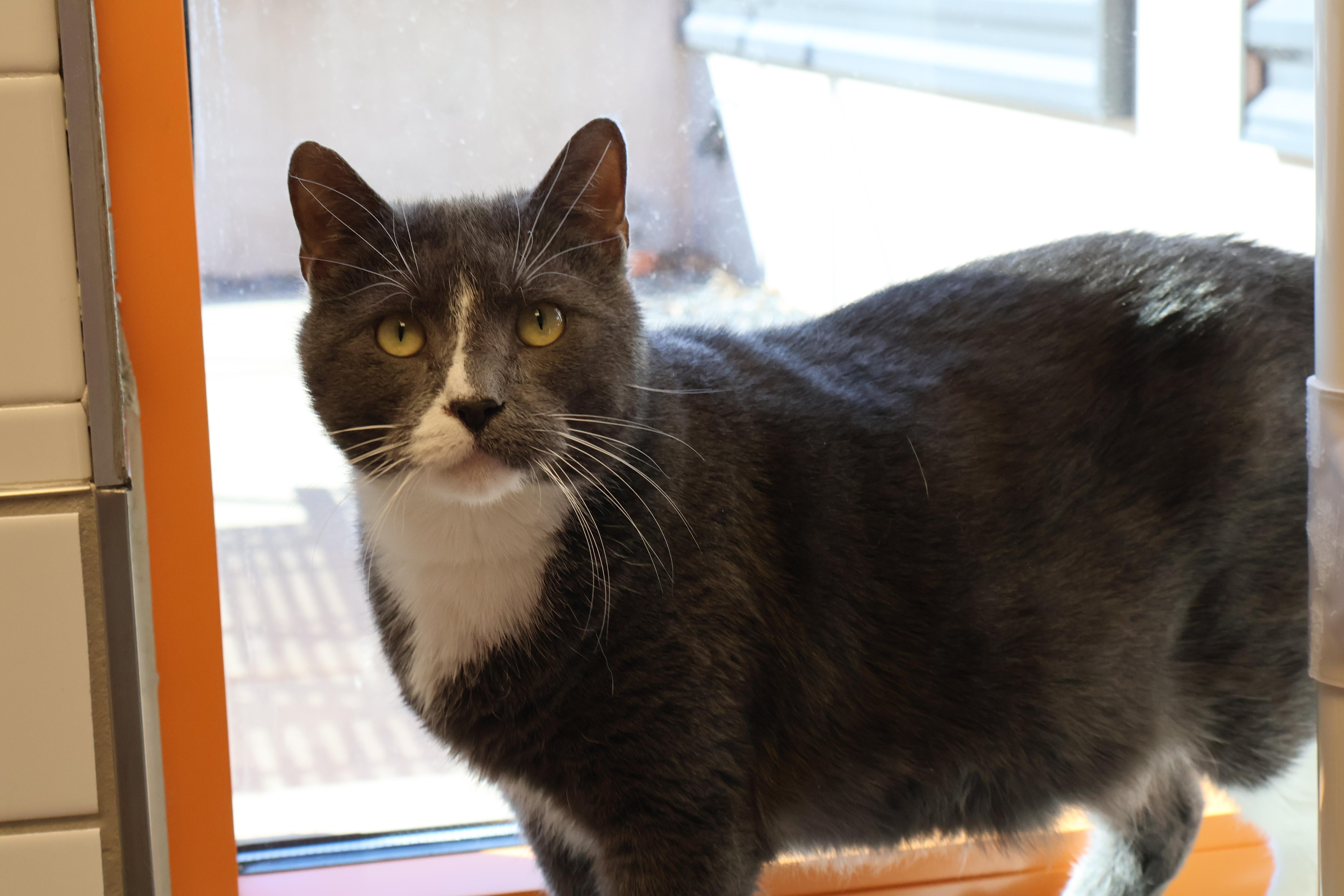 Calvin — thumbnail 2