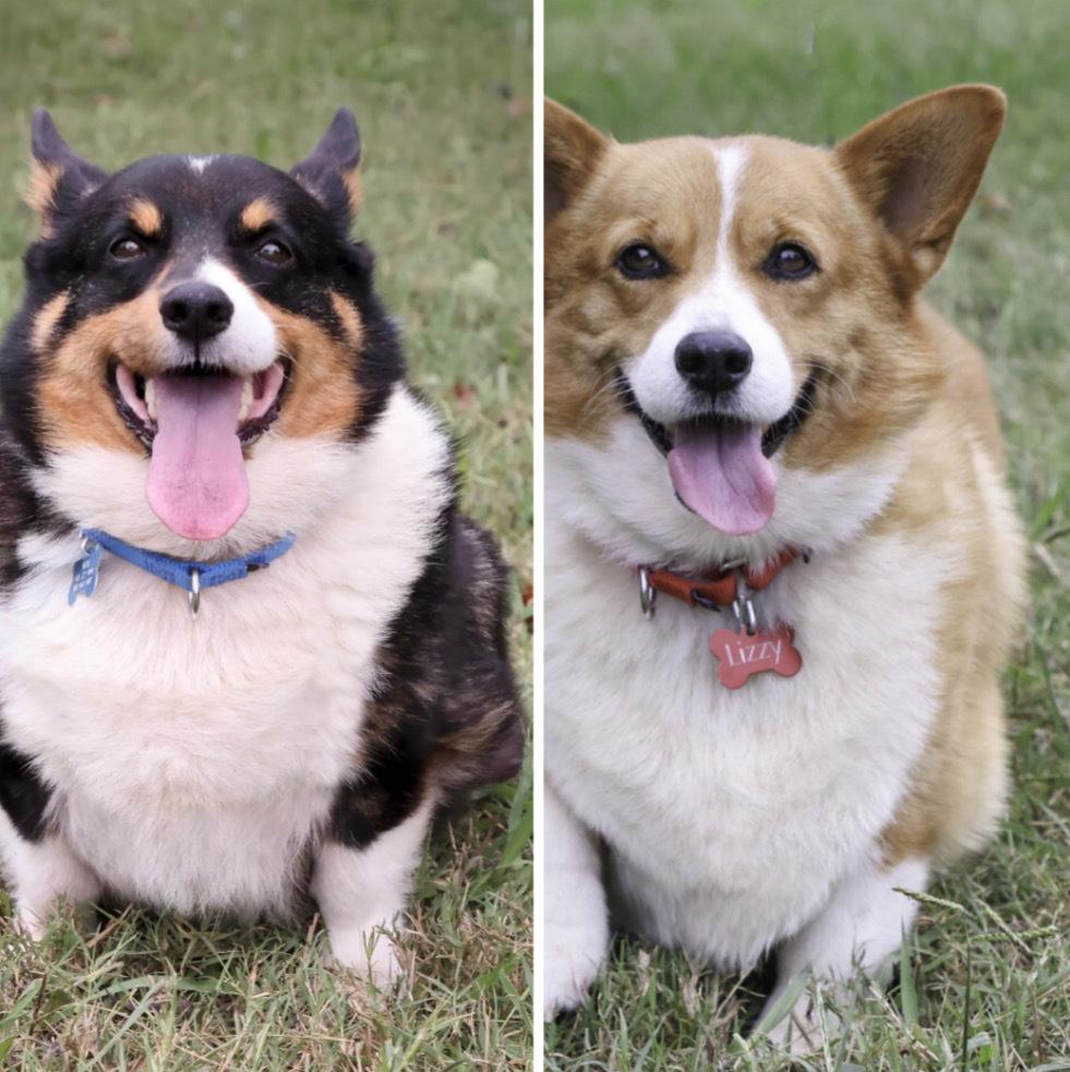 Lizzy And Lamont thumbnail 2