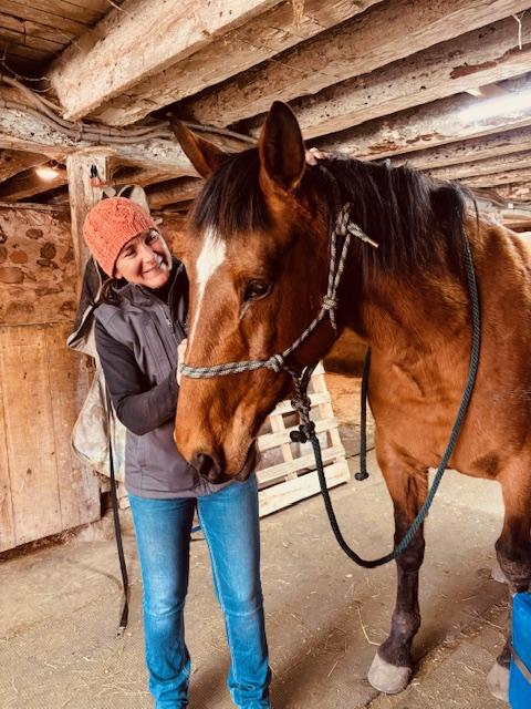 Enlarge Sonnet, a Adoptable Standardbred in Elkhart Lake, WI image 1/4