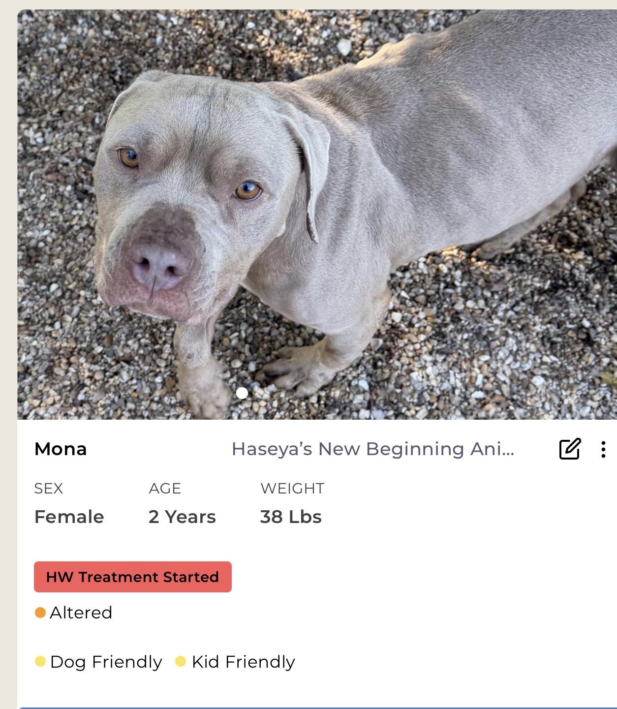 Enlarge Mona, a ADOPTABLE Mixed Breed in Rayne, LA image 2/3