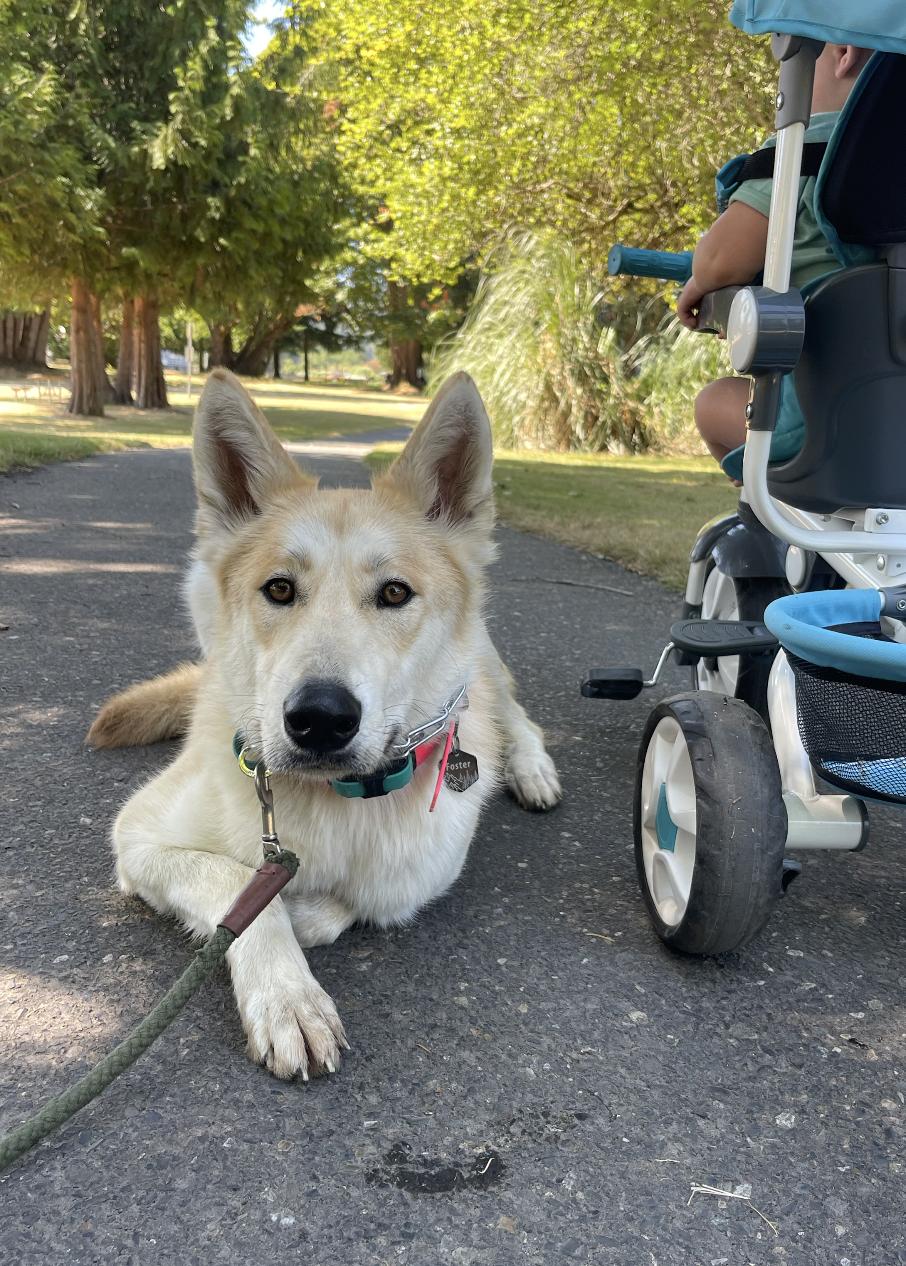 SURI (A perfect girl!)