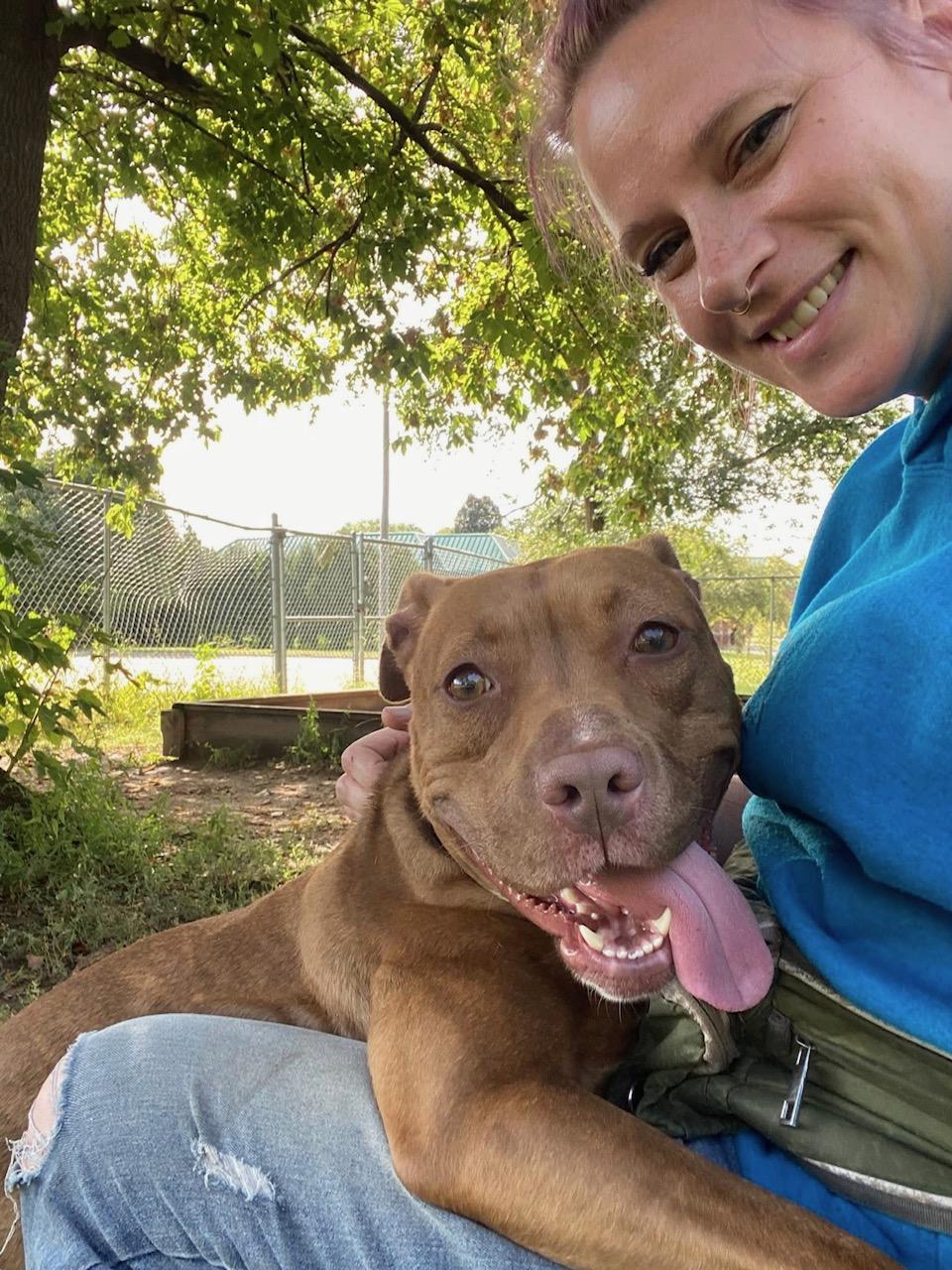 Frannie - sweet little lovergirl!, a Adoptable mixed breed in Oshkosh, WI image 5/6