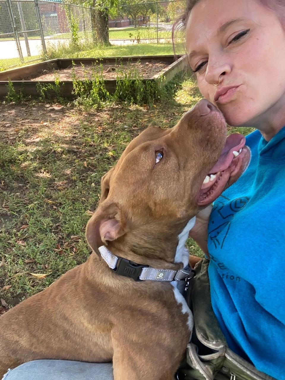 Frannie - sweet little lovergirl!, a Adoptable mixed breed in Oshkosh, WI image 4/6