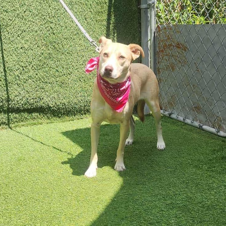 Betty — thumbnail 3